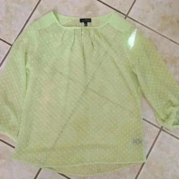 The Limited Tops - 🌻- The Limited Polka Dot Sheer Shirt Green/Mint Black​